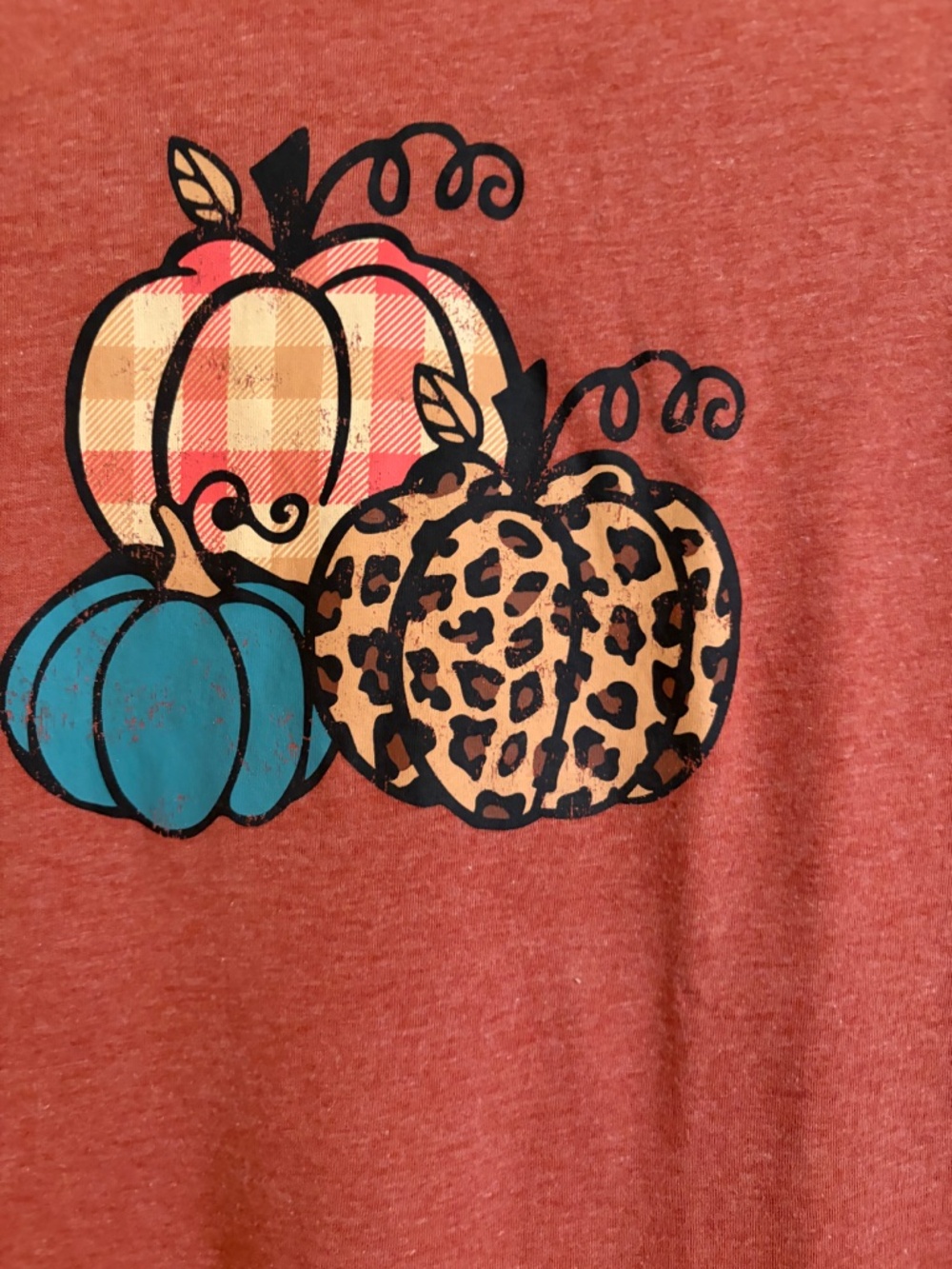 Fall tshirt - Picture 2 of 4